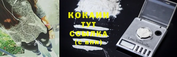 прущие грибы Аркадак