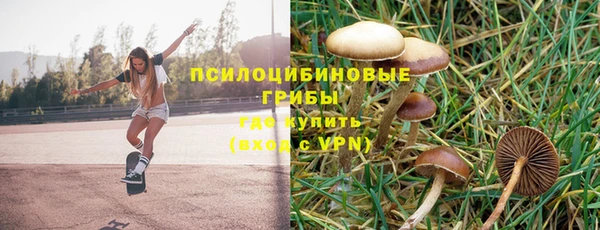 СК Арсеньев