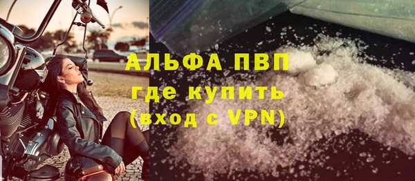 прущие грибы Аркадак