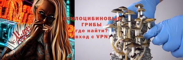 прущие грибы Аркадак
